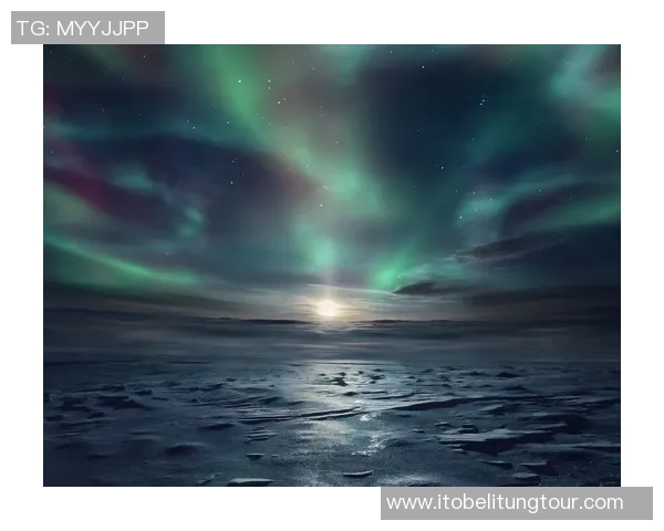 布莱克尼的神秘旅程探索未知世界的奇幻与挑战