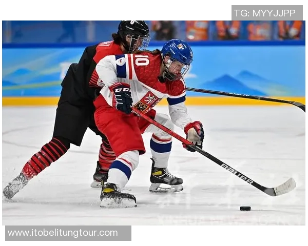 日本对阵捷克的比赛分析及大小分预测详解