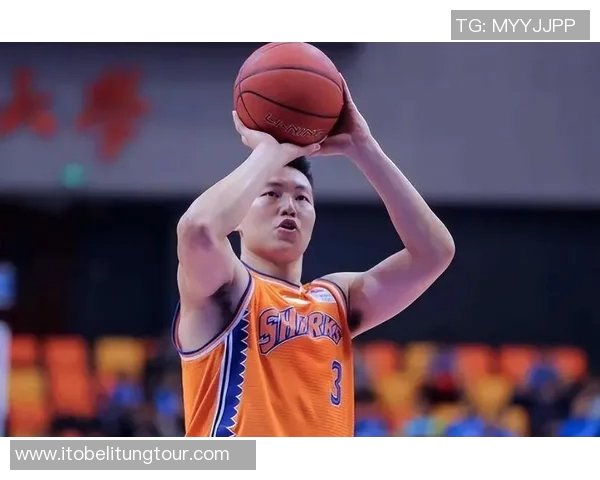 李根的篮球之路：从青涩少年到职业赛场的奋斗历程与荣耀时刻
